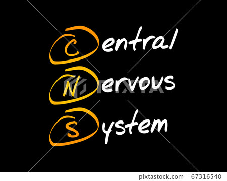 CNS - Central Nervous System acronym CNS - Central Nervous System acronym 67316540