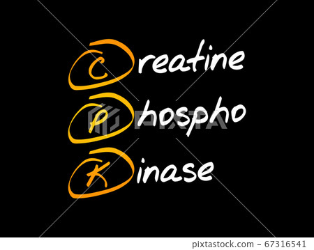 CPK - creatine phosphokinase acronym 67316541