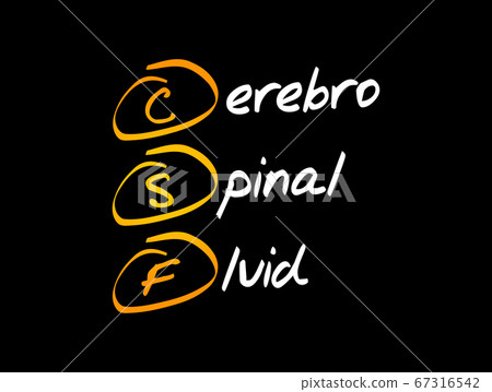 CSF - cerebrospinal fluid acronym, medical concept 67316542