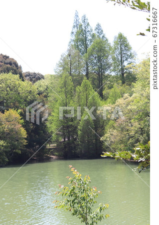 Jiangsu Park 67316667