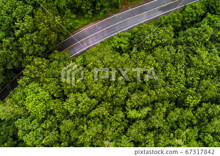 Tropical rain forest with rural road aerial view 67317842
