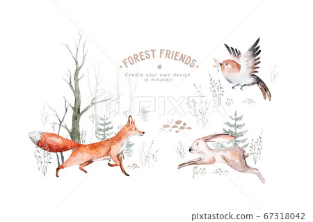 Woodland Animals Set Owl Hedgehog Fox And Stock Illustration