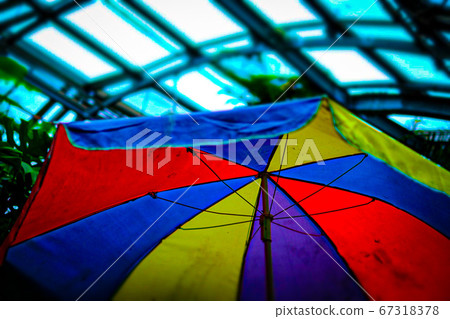 Umbrella 67318378