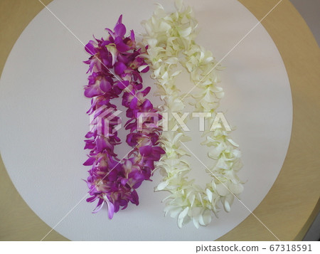 Wedding red and white orchid lei 67318591