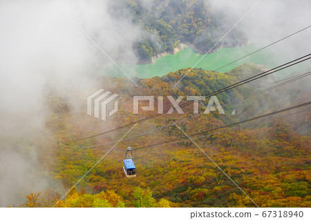 Autumn leaves Tateyama Kurobe Alpine Route, Daikanbo 67318940