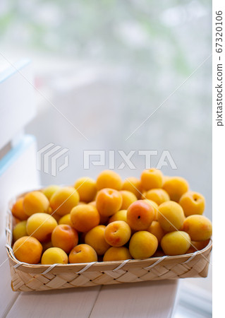 plum	 67320106