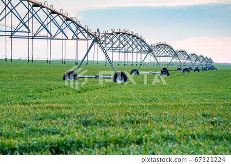 Drip irrigation system in field Drip irrigation system in field 67321224