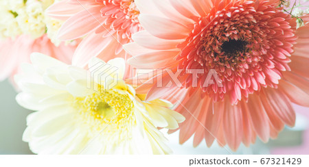 Yellow and pink gerbera daisy flowers bouquet 67321429