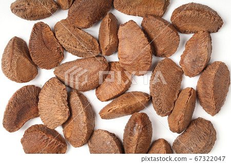 Brazilian nut in peel Brazilian nut in peel 67322047