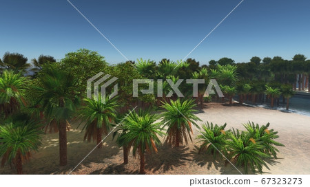Palms on the tropical beach 3d rendering Palms on the tropical beach 3d rendering 67323273