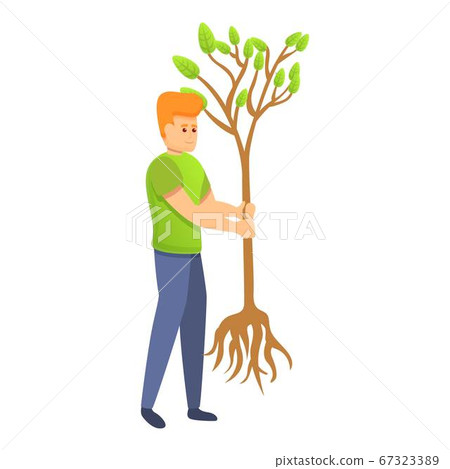 Guy planting tree icon, cartoon style Guy planting tree icon, cartoon style 67323389