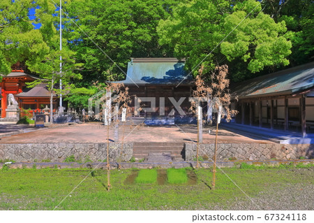 [愛媛縣]鮮綠色的小山yama園神社（沖繩和Sa田） 67324118