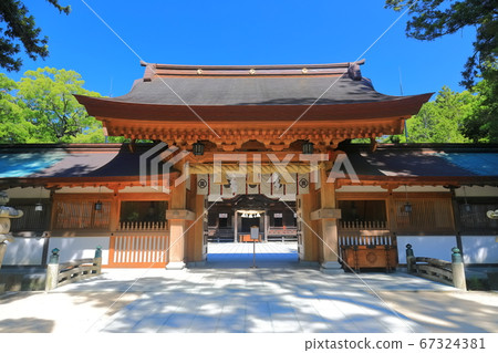 [愛媛縣]鮮綠色大山神社 67324381