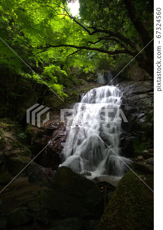 Senjuin Waterfall Itoshima Mountain Landscape Green 67324560