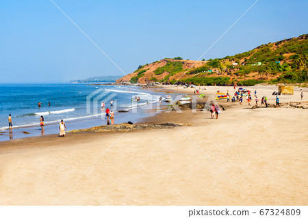 Beach in Goa, India 67324809