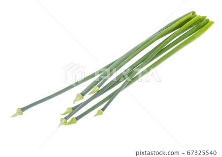 Fresh cut green onion arrows isolated on white Fresh cut green onion arrows isolated on white 67325540