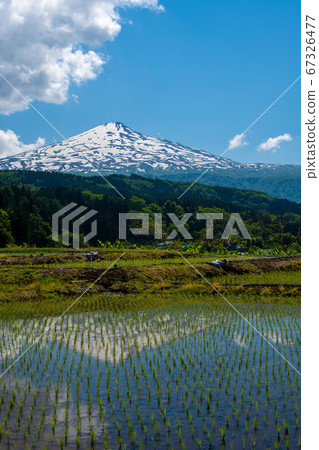 Mt Chokai Seen From Rice Fields In Yurihonjo City Stock Photo