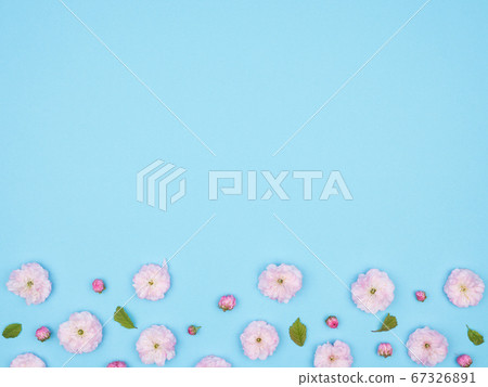 Buds, flowers, petals and leaves on a blue background. 67326891