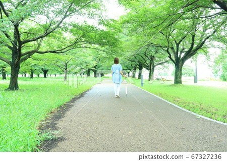 Senior woman walking in the green park (back view) 67327236