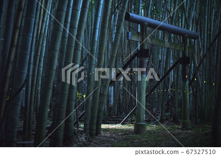 鳥居和公主螢火蟲 67327510