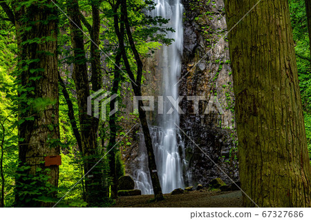Yusa Town, Yamagata Prefecture Tamadare Waterfall Through a gap in a grove Yusa Town, Yamagata Prefecture Tamadare Waterfall Through a gap in a grove 67327686