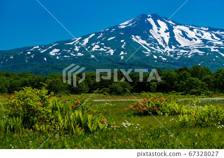 秋田縣桑之島濕地長海山右 67328027