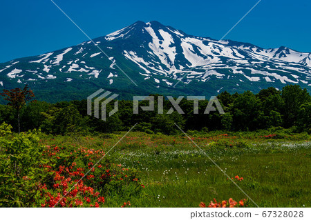 秋田縣Ku之山沼澤地 67328028