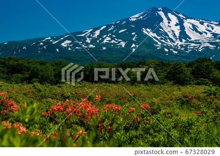 Akita Prefecture Kuwanokidai Wetland And Mt Stock Photo