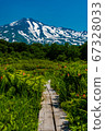 Akita Prefecture Kuwanokidai Wetland and Chokaiyama wooden path vertical Akita Prefecture Kuwanokidai Wetland and Chokaiyama wooden path vertical 67328033