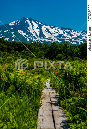 Akita Prefecture Kuwanokidai Wetland and Chokaiyama wooden path vertical Akita Prefecture Kuwanokidai Wetland and Chokaiyama wooden path vertical 67328033