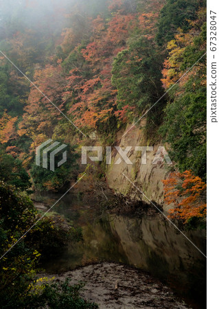 Kameyama lake autumn leaves 67328047
