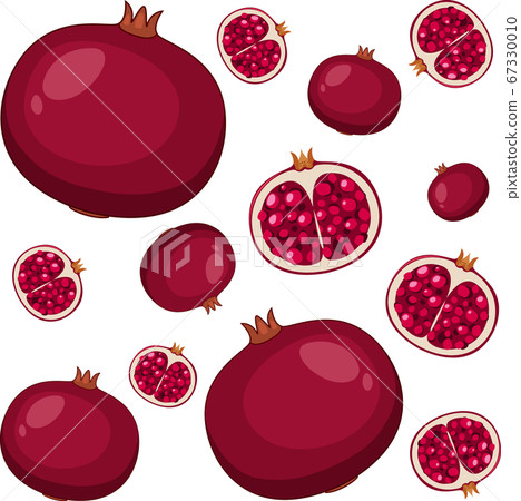 Pomegranate seamless pattern on white background Pomegranate seamless pattern on white background 67330010