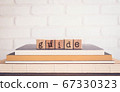 The word GUIDE and blank space background, 67330323