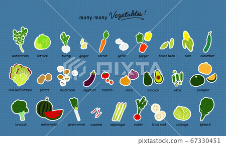各種蔬菜[白色邊緣]的彩色插圖圖標集 67330451
