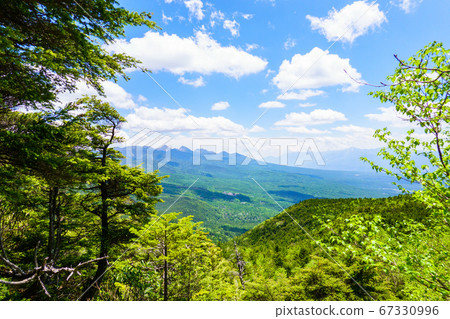 Early summer climbing Tateshinayama: Scenery of Menokami Chaya (Tateshina mountain climbing mouth) course Early summer climbing Tateshinayama: Scenery of Menokami Chaya (Tateshina mountain climbing mouth) course 67330996