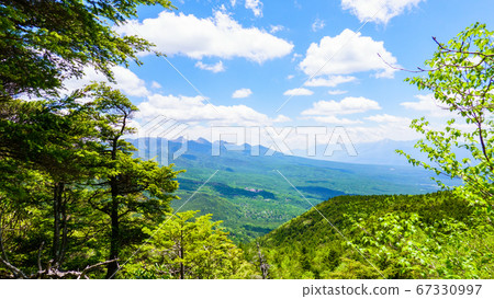 初夏的立山登山：Menokami Chaya（立山登山嘴）路線的風景 67330997