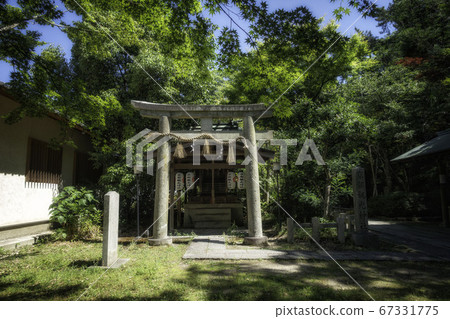 Precincts of Munakata Shrine in Kyoto Gyoen, Kyoto sightseeing shrine and fresh green scenery Precincts of Munakata Shrine in Kyoto Gyoen, Kyoto sightseeing shrine and fresh green scenery 67331775