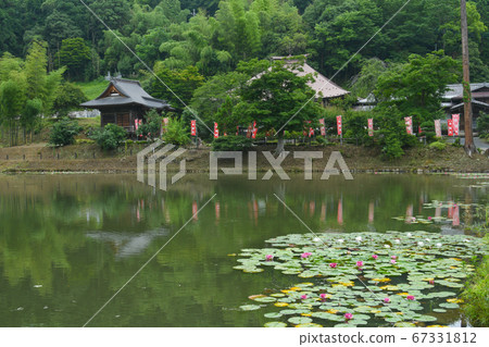 秩父第二十五名 67331812