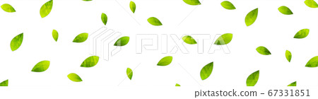 Grunge summer eco banner with green leaves Grunge summer eco banner with green leaves 67331851