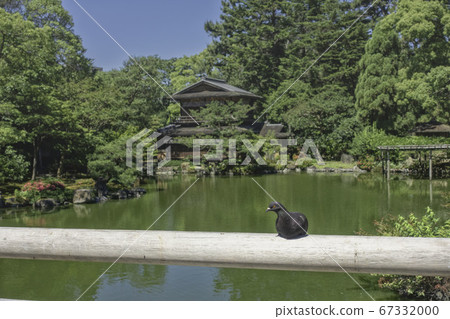 It is a beautiful early summer landscape of the old Kujo family garden "Suisuitei" in the Kyoto Gyoen. 67332000