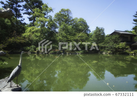 京都御苑舊九條家庭花園“ Suisuitei”的景色和九條池塘中的蒼鷺 京都御苑舊九條家庭花園“ Suisuitei”的景色和九條池塘中的蒼鷺 67332111
