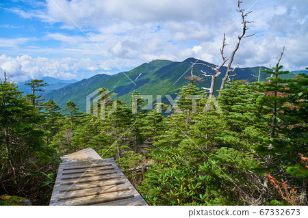 View from the wooden stairs near Maekokushidake in Yamanashi (Nagano) to the west side of Mt.Kinemine, Mt.Asahi, and Mt. View from the wooden stairs near Maekokushidake in Yamanashi (Nagano) to the west side of Mt.Kinemine, Mt.Asahi, and Mt. 67332673