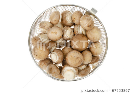 Pile of brown royal champignons on white 67333867