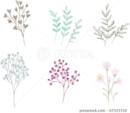 手繪水彩植物圖案 插圖素材 圖庫