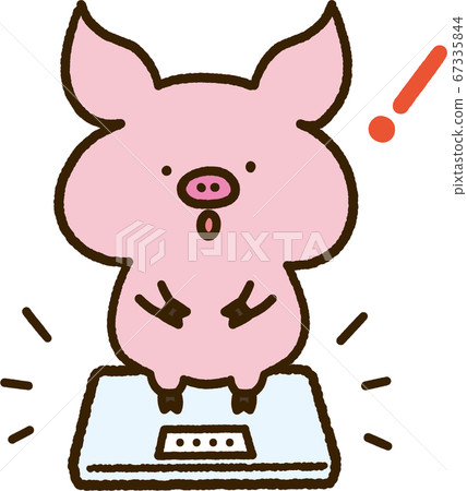 Surprised pig riding a scale Surprised pig riding a scale 67335844