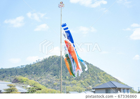 May's carp streamer May's carp streamer 67336860