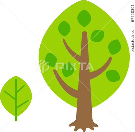 Simple tree and leaves 67338391