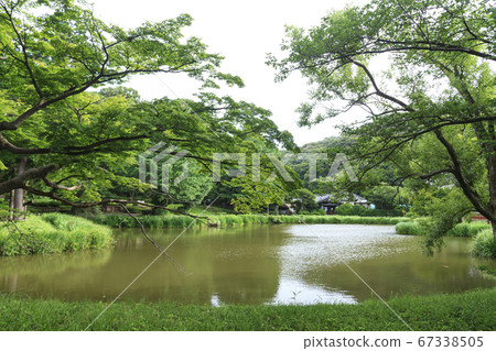金gon文庫旁的真言宗佛教寺院元山翔明寺的夏天 67338505