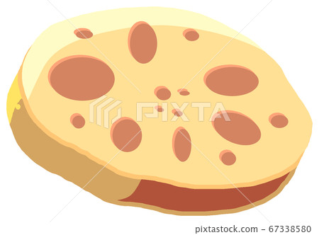 蓮藕 蓮藕 67338580