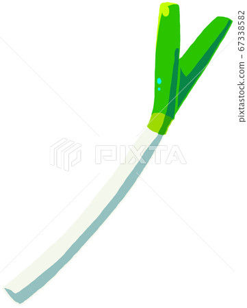 Green onion Green onion 67338582